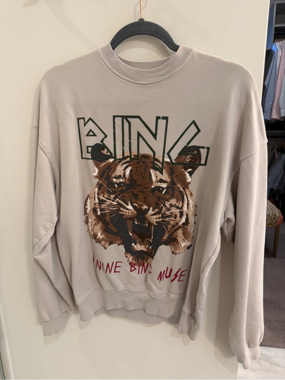 Anine bing sweatshirt